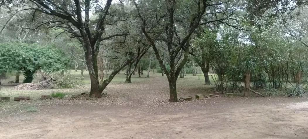 Tente Safari Au Pont Du Gard ヴェール・ポン・デュ・ガル エクステリア 写真